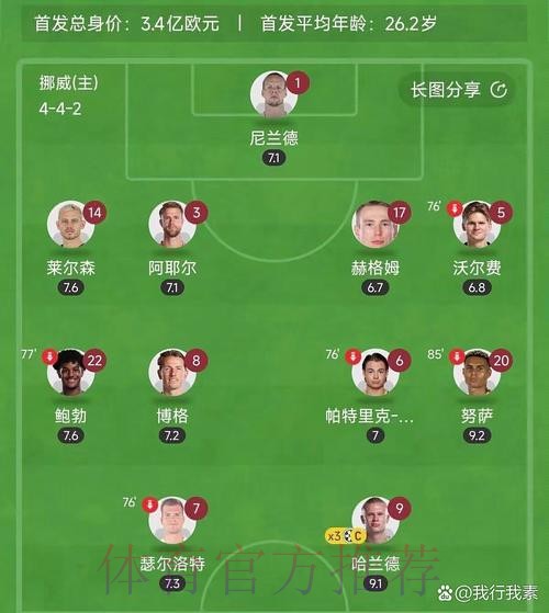 最新世界杯比利时哈兰德阵容解析深度解读